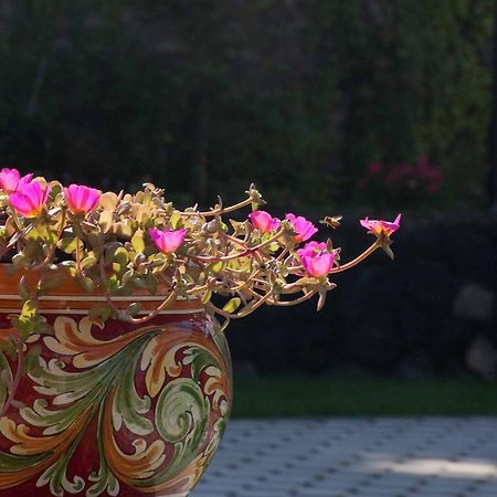B&B Le Antiche Cisterne Tremestieri Etneo Экстерьер фото